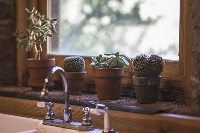 Apartment Planting