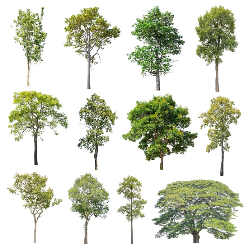 Foliage Variety