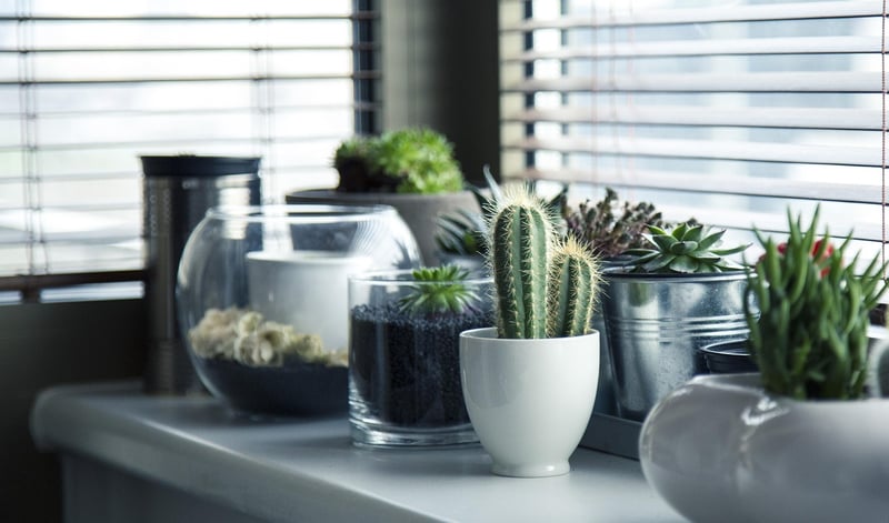 Tiny Garden Design