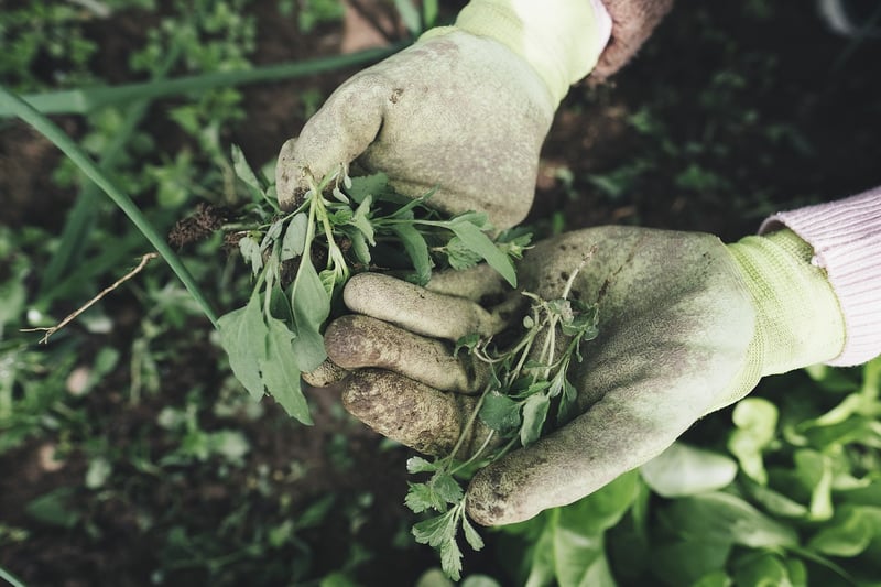 Gardening and Weed Control