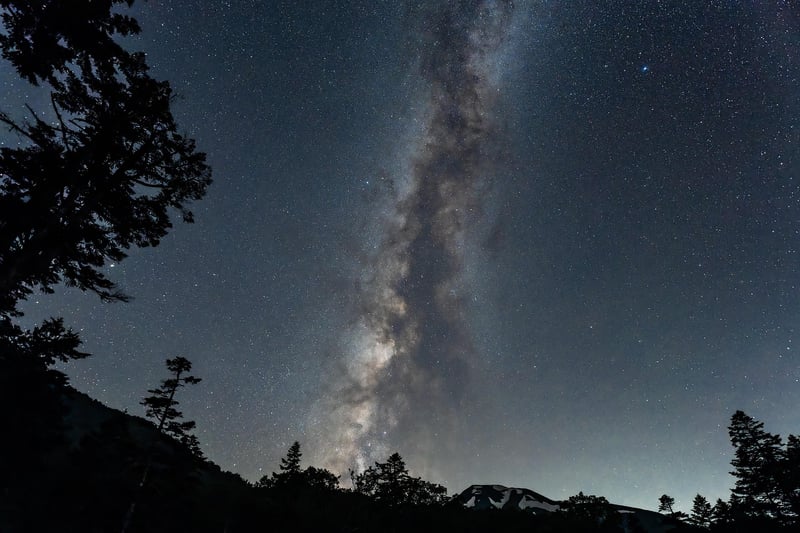 Plants under the stars